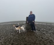 A picture of two dogs on a foggy mountain top with a female dog walker